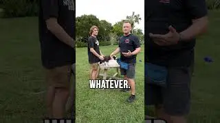 Be careful when you reward your dog or puppy, it may lead to behaviors you don&rsquo;t want