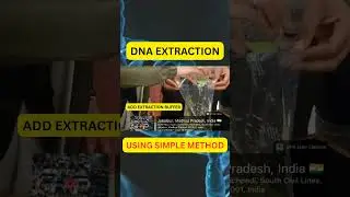 Simple DNA Extraction in just 3 mins #dna #extraction