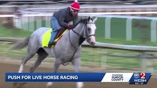 There's a new push for live horse racing in Marion County