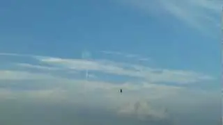 microHELIS.de T-Rex 500 Racer 8s Part 3/3 (Pitch Test)