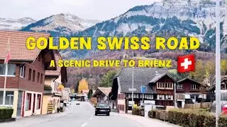 Driving Through Switzerland: Stunning Autumn Views from Interlaken to Brienz! 🇨🇭