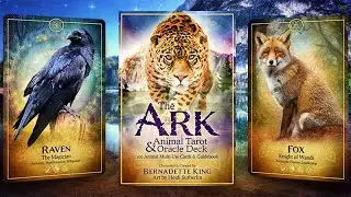 Interview: Bernadette King &  The Ark Animal Tarot & Oracle Deck