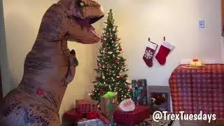 Underneath the Rex-Mas Tree