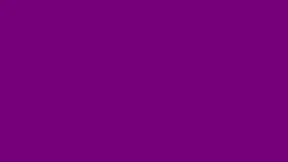 PURPLE SCREEN - 1 Hour - 4K / HEX #800080, RGB (128,0,128)