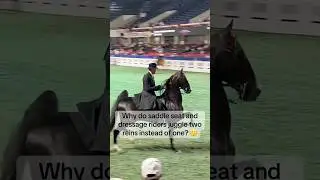 Why do saddle seat and dressage riders juggle two reins instead of one? #saddleseat #doublebridle
