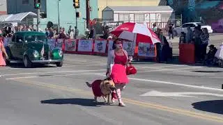 TUCSON Pet Parade 2024