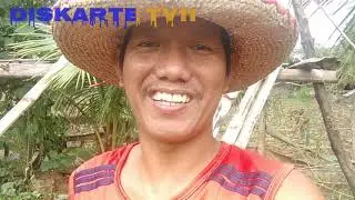 #buhayprobinsya #100%reusematerials PAGGAWA NG GAGAPANGAN NG PATOLA.