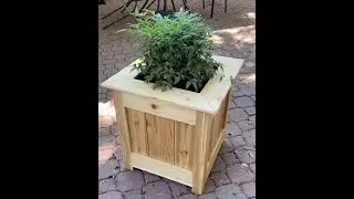 DIY planter box.