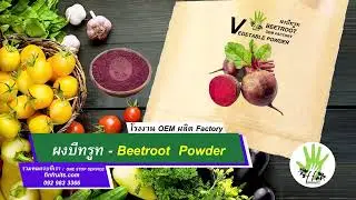 manufacturer Beetroot Powder |Factory|OEM  vegetable|fruits|Thailand|Export Foods industrials