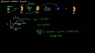 Michaelis-Menten Derivation (All Steps) -- NEW