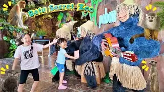 Main Ke Kebun Binatang Batu Secret Zoo dan Hotel Monyet Dansa - Mengenal Binatang Lucu
