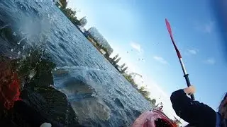 Kajaking Gdańsk z kajaka