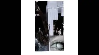 SDP - Destroy Lonely