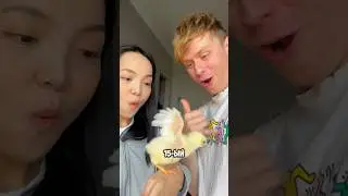 ЧИКЕН НАГИНС ИЗ ЖИВОЙ КУРОЧКИ??🐔😳 #китай #какприготовить #еда #курица