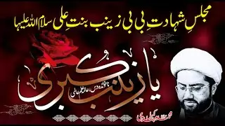 Majlis e Shahadat Bibi Zainab binte Ali (as) | Maulana Kumail Mehdavi