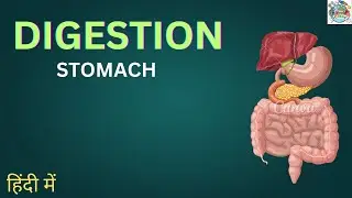 Life processes | Digestion - stomach | &mdash; In Hindi (हिंदी में) # Tannu techscience #biology