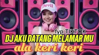 DJ AKU DATANG MELAMAR MU aala keri keri fyp TIKTOK
