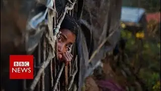 Myanmar Rohingya: Army 'must face genocide charges' BBC News