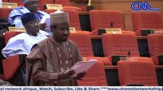 Nigerian Senate Passes 2020 Budget