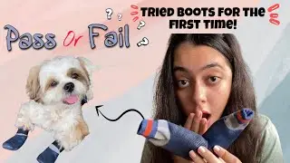 Trying Boots for the first time! Pass or Fail?🥴 | Niftyinanutshell
