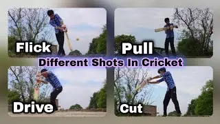 How to Play Different Shots In Cricket 🏏 #theatharvshrivastava #cricket #virat #kohli #abd #msd #as
