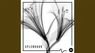 Spring To Life