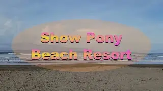 How about a beautiful, secluded beach in paradise... YES, PLEASE!!!