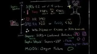 Sepsis: Systemic Inflammatory Response Syndrome (SIRS) to Multiple Organ Dysfunction Syndrome (MODS)