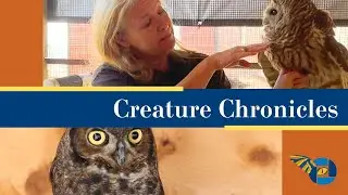 CREATURE CHRONICLES: Raptors