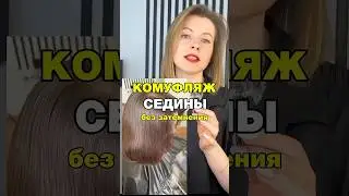 КАМУФЛЯЖ СЕДИНЫ БЕЗ ЗАТЕМНЕНИЯ