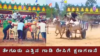 ಚಿಕ್ಕಮಗಳೂರಿನ ತೇಗೂರಿನಲ್ಲಿ ನಡೆಯಲಿರುವ ಎತ್ತಿನ ಗಾಡಿ ಓಟದ ಸ್ಪರ್ಧೆಗೆ ಕ್ಷಣಗಣನೆ #theguru #gadirace #bullrace