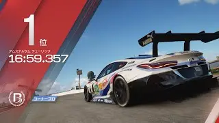 【Cargame】アムステルダム チューリップ 10周チャレンジ（再投稿）