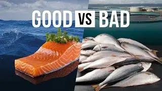 Top 5 Healthiest Seafood Choices (and Which to Avoid!)