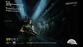 Elite xenophob