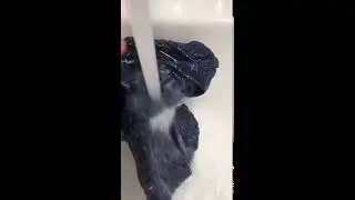 water boarding older brother prank