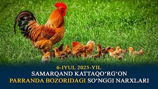 SAMARQAND KATTAQO'RG'ON PARRANDA BOZORIDAGI SUNGGI NARXLAR 6 IYUL 2025 YIL