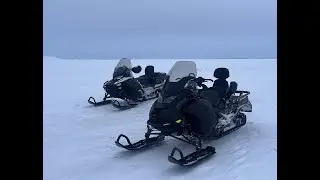 Air Breathing Fish in Alaska? How We Harvest the Arctic Blackfish.