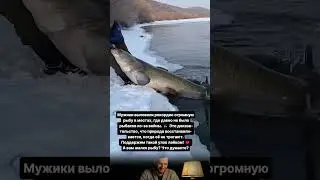 FISHERMEN CAUGHT A RECORD HUGE FISH!