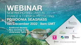 WEBINAR: Posidonia anchoring reulations with Yachting Pages and French government representatives