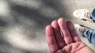 Macromia illinoiensis - female - slow motion release