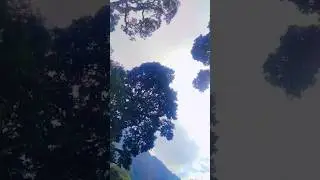 Munnar Tent Kolukkumalai Jeep  #offroad #jeep #jeepsafari #trending #traveling  #natural #munnartent