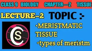 CLASS 9 BIOLOGY| chapter 2 |lecture-2 |meristematic Tissue| #tissue  #cellclass9#class9biology