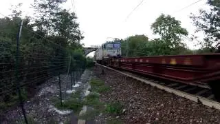 Doppio transito E444 ed E655 Caimano