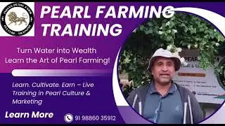 Learn Pearl Farming in India | Training Highlights Video