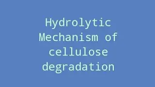 Hydrolytic mechanism of cellulose degradation |Microbiology  |Biochemistry