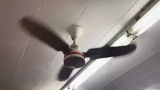 Envirofan Orange Line Industrial Ceiling Fan At A Convenience Store (2024 Remake)