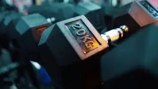 FitFlex Gym AD (2020)