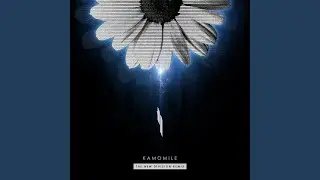 Kamomile (The New Division Remix)