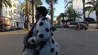 Walk in Casablanca #morocco #travel 
