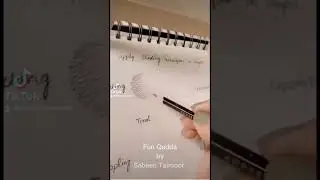 #shadingtechniques #pencildrawing#shading#beautiful#art#passion
